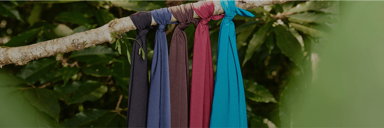 Foto de 5 tecidos de cores lisas amarrados em um galho.