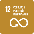 Imagem do ícone 12 dos objetivos de Desenvolvimento Sustentável, com a frase 'Consumo e produção responsáveis'