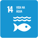 Imagem do ícone 14 dos objetivos de Desenvolvimento Sustentável, com a frase 'Vida na água'
