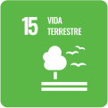Imagem do ícone 15 dos objetivos de Desenvolvimento Sustentável, com a frase 'Vida terrestre'
